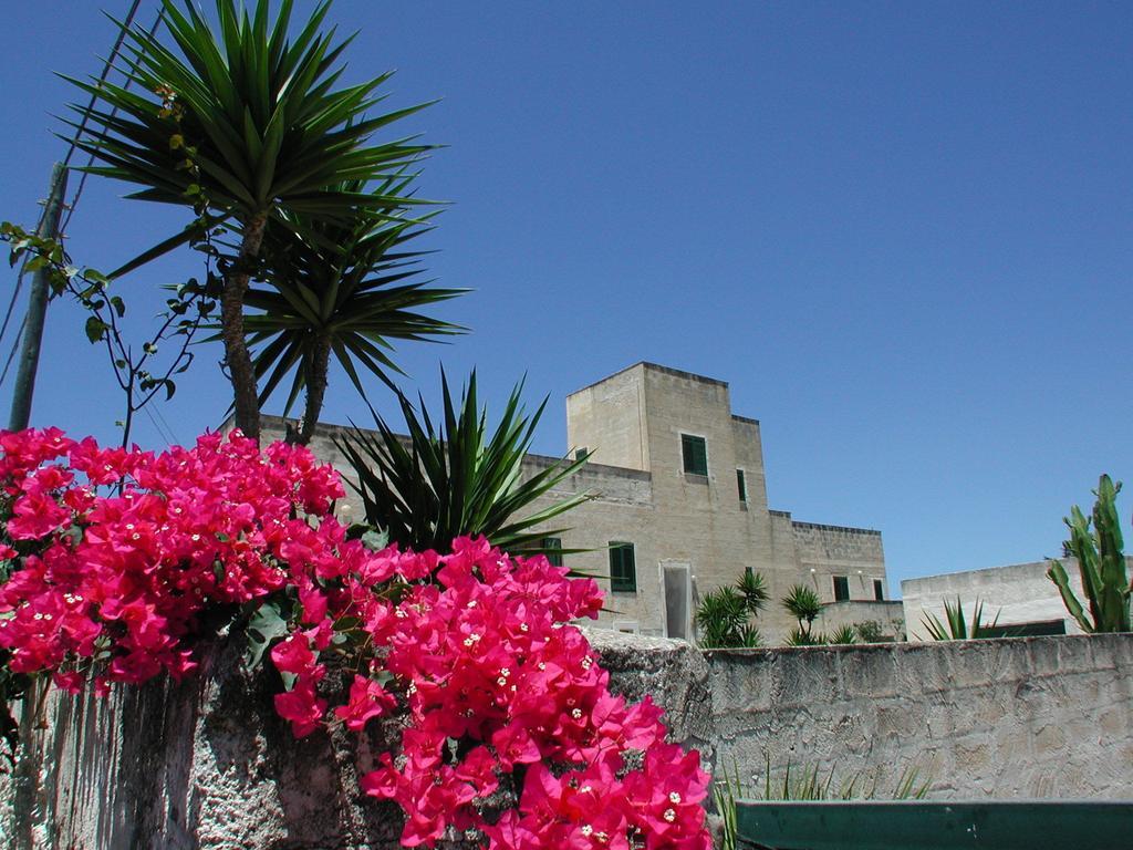 Casale Due Palme Casa vacanze Favignana